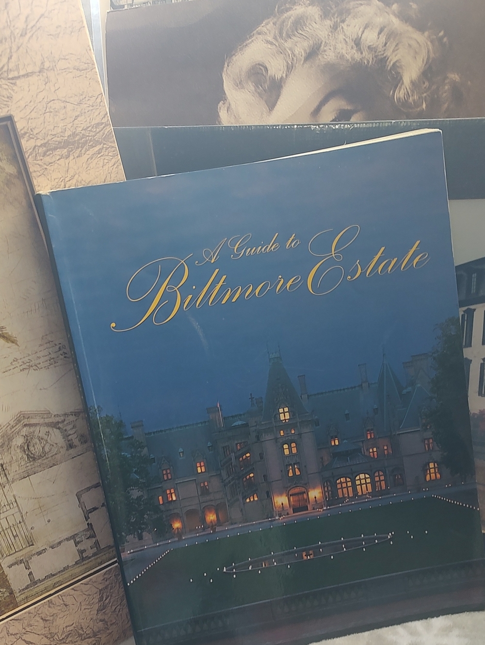Biltmore Estate 📚 - Picture 2 of 10